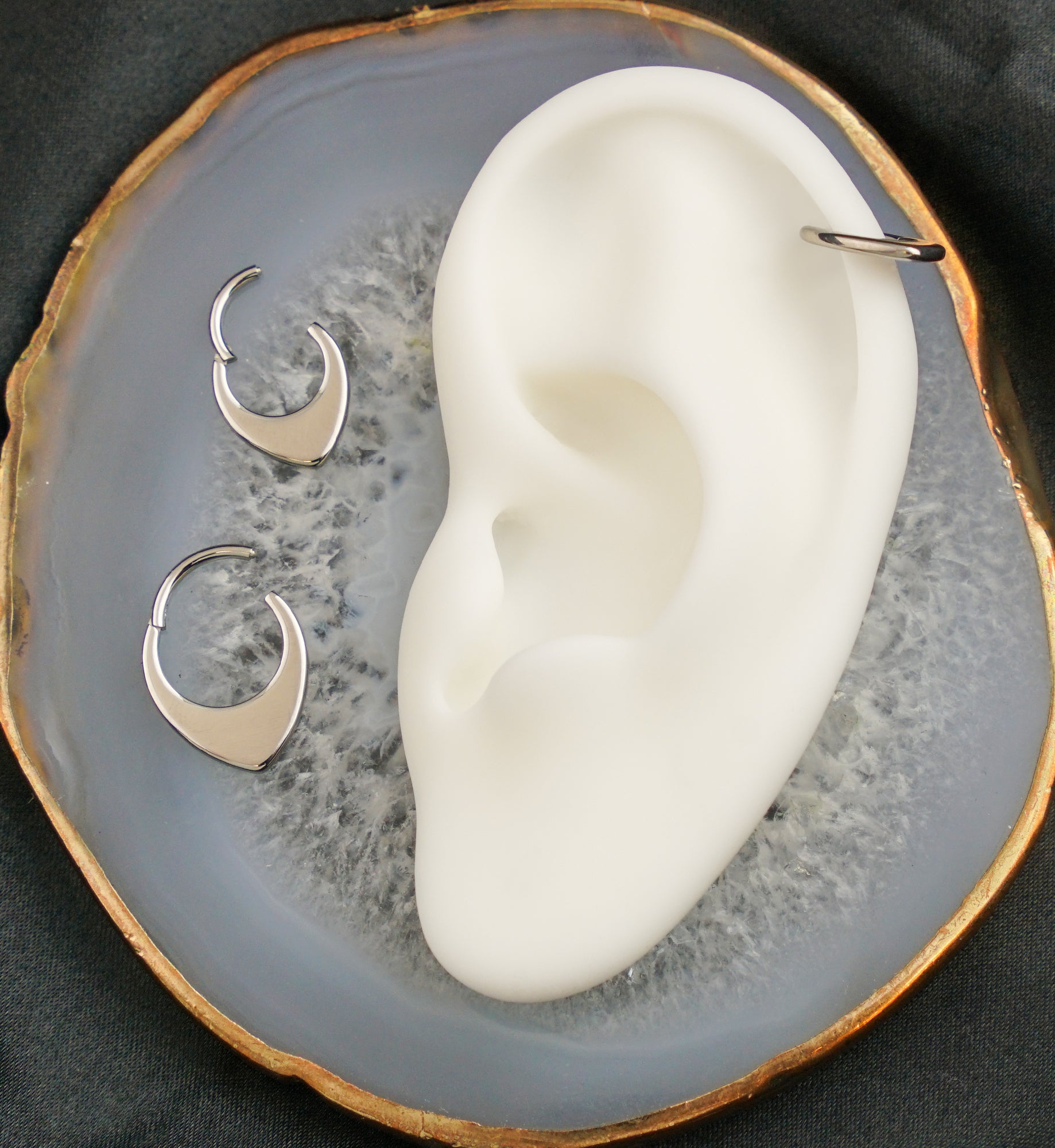 Rounded Point Titanium Hinged Segment Ring