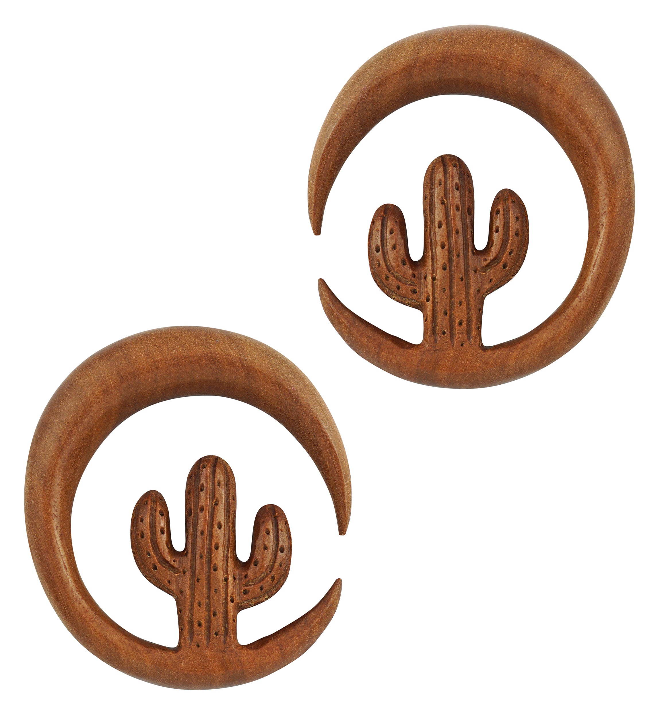 Saguaro Cactus Wooden Hoop Hangers