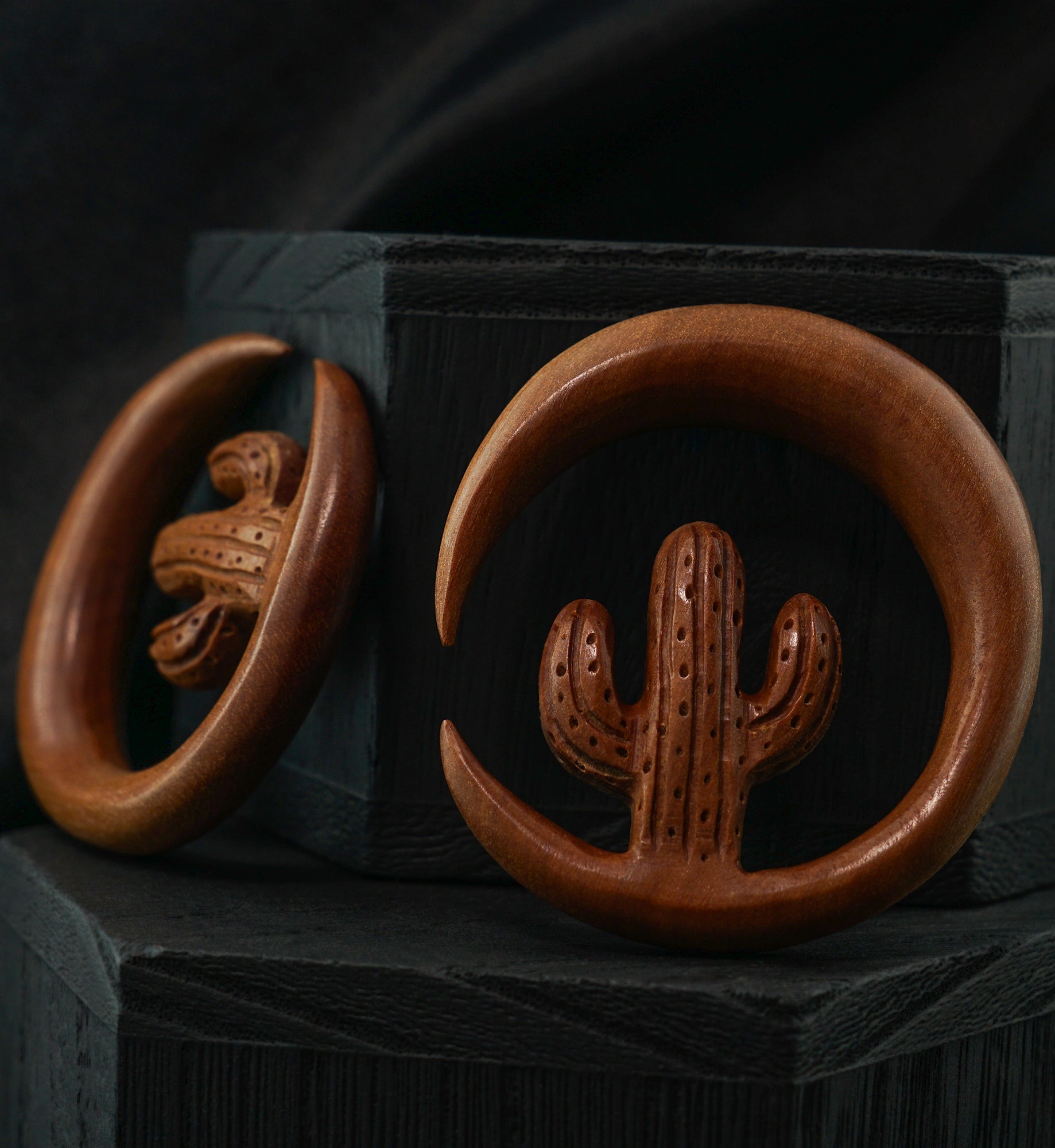 Saguaro Cactus Wooden Hoop Hangers