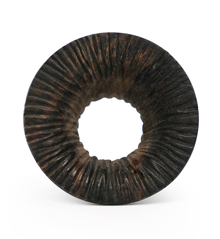 Score Areng Wood Mayan Flare Tunnel Plugs