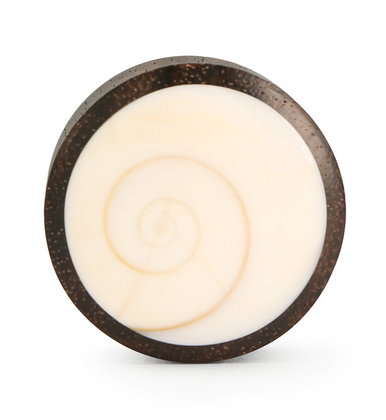 Spiral Sea Shell Inlay Wood Plugs (6G - 1 & 1/2