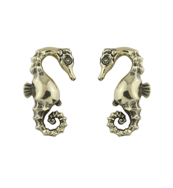 Seahorse Ear Weights
