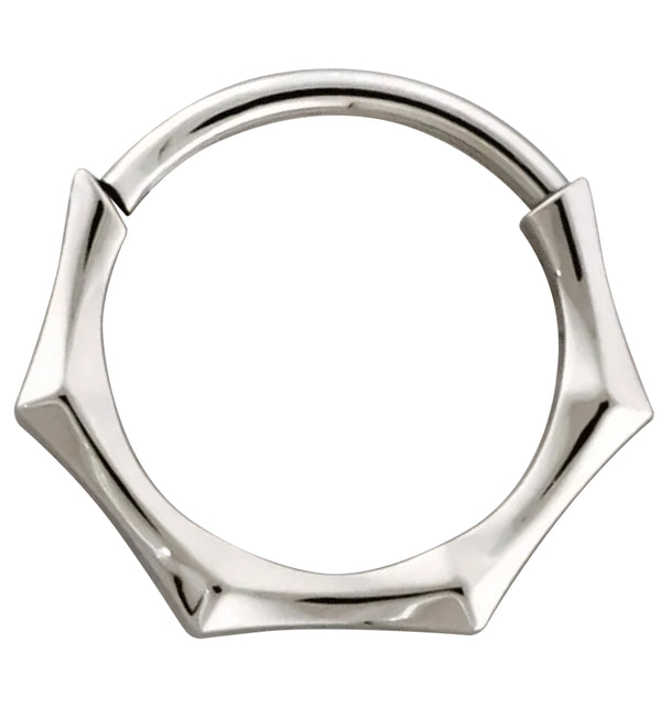 Sector Titanium Hinged Segment Ring