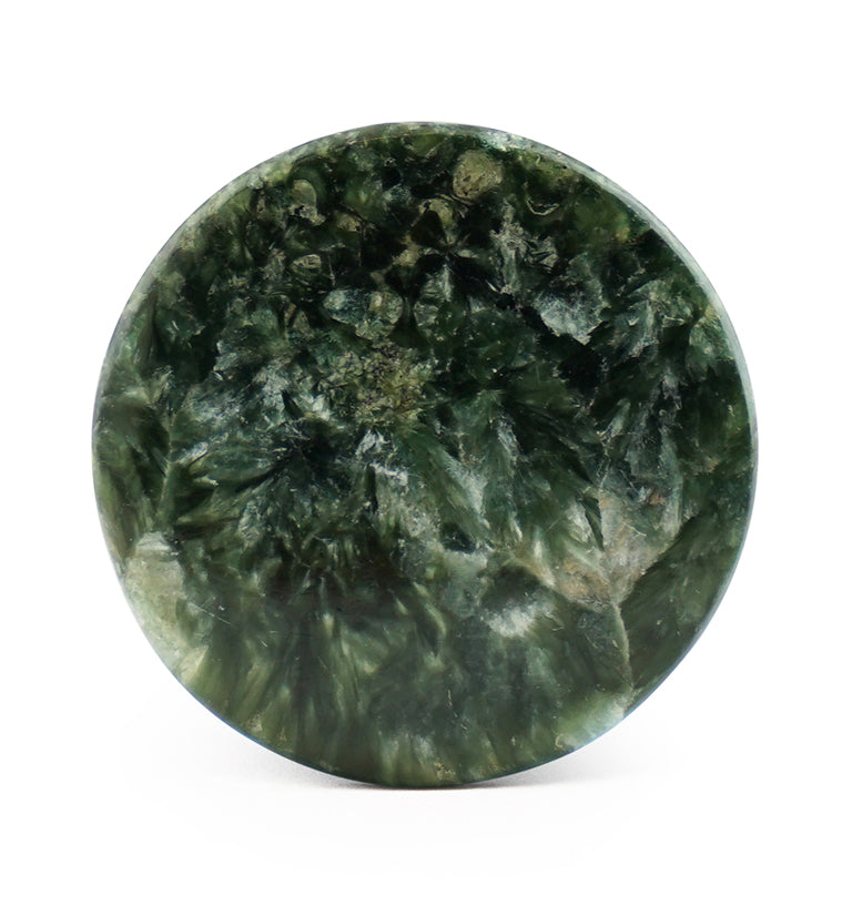 Seraphinite Stone Plugs