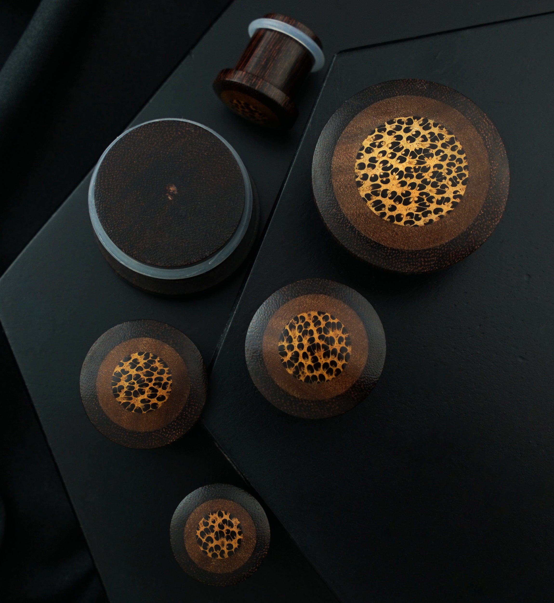 Single Flare Dark Tamarind Wood Plugs with Saba & Coconut Inlay