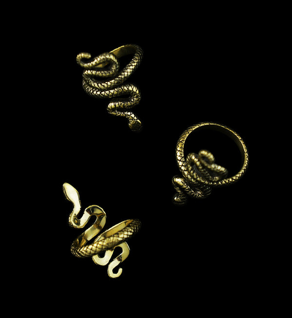 Snake Brass Ring