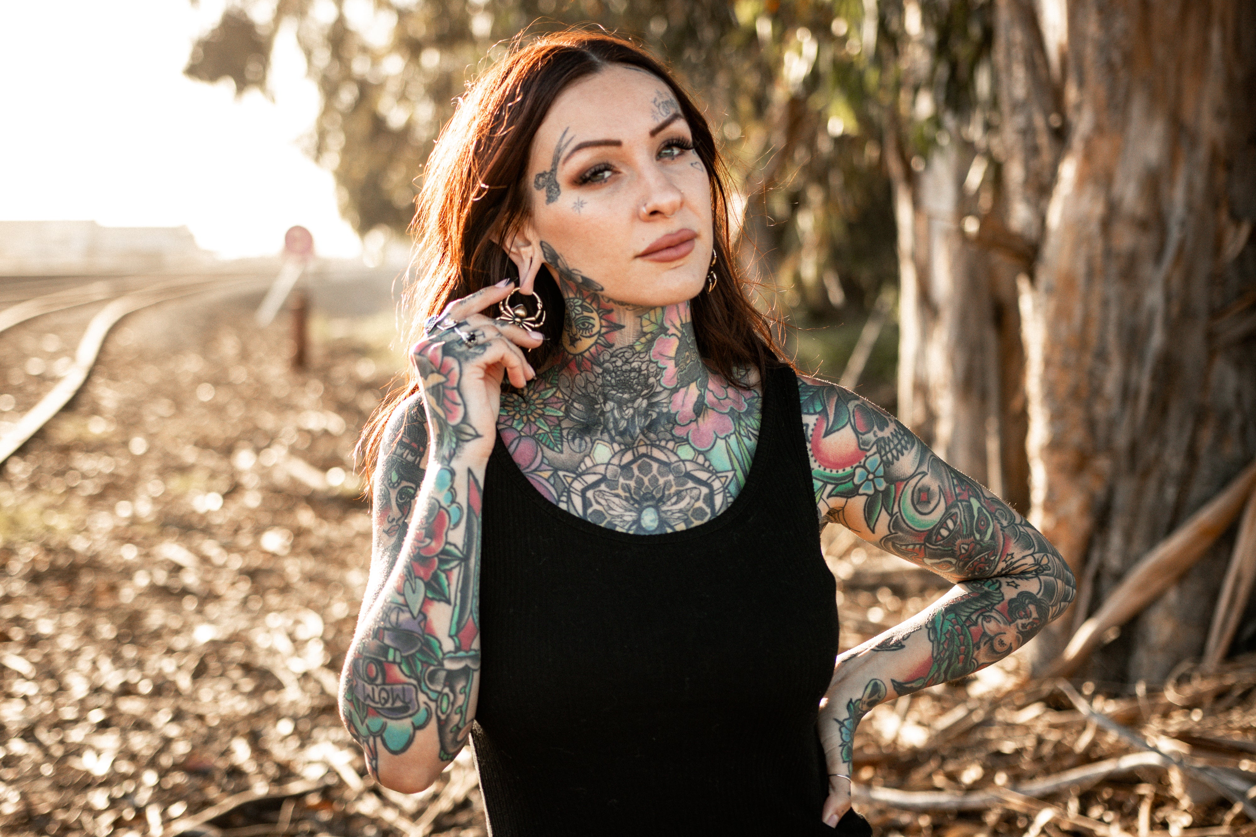 Spider Brass Hinged Ear Weights