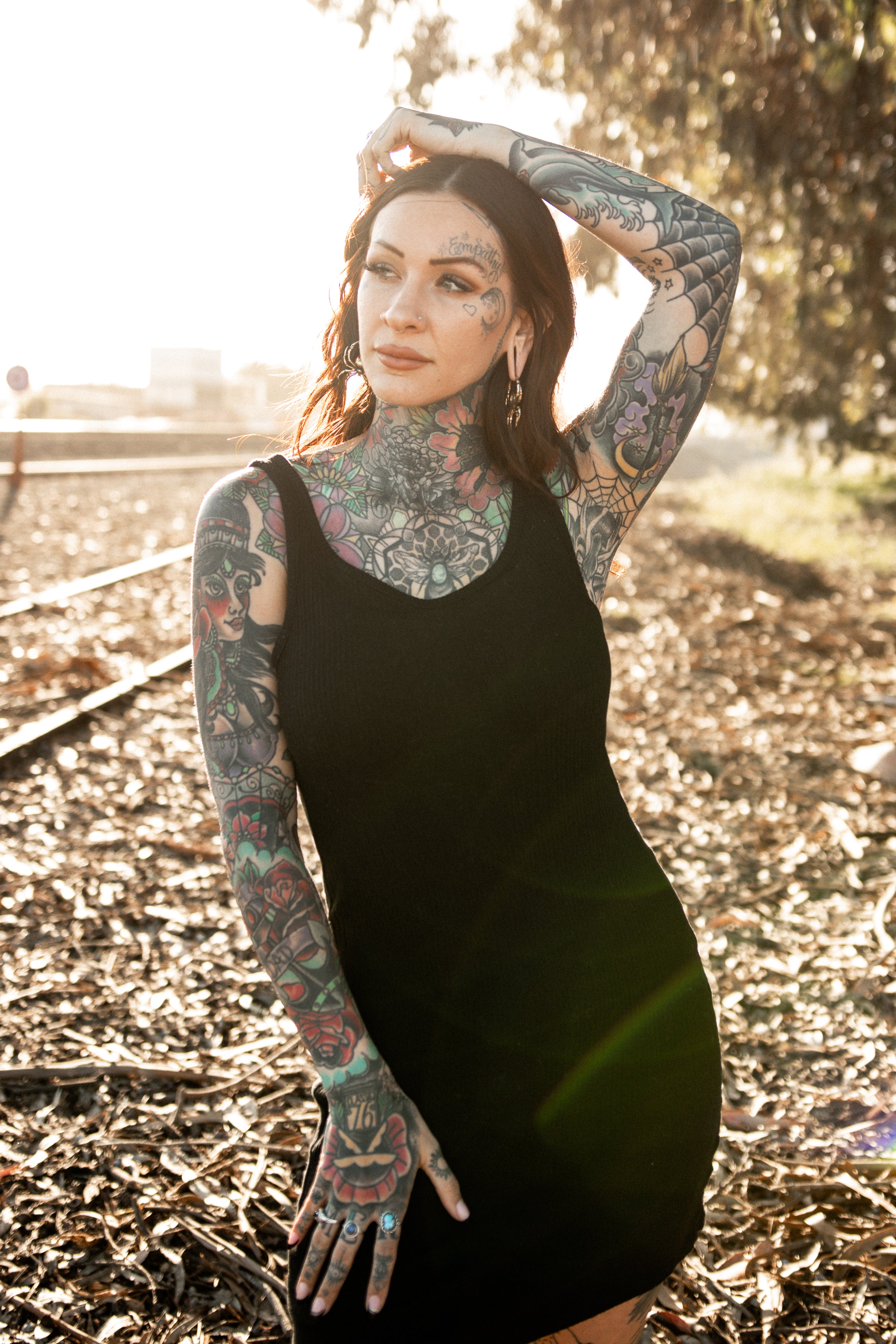 Spider Brass Hinged Ear Weights