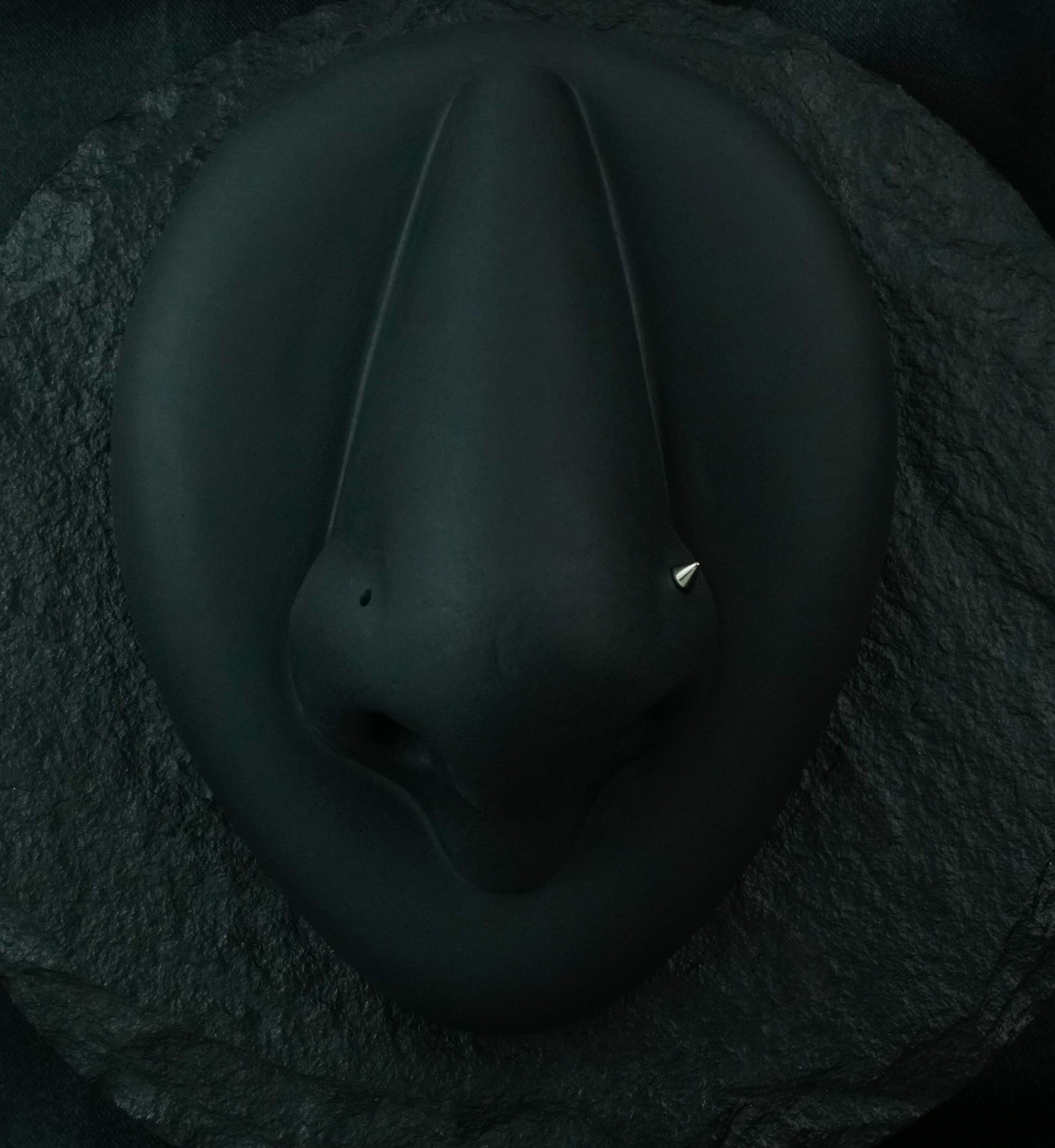 Spike Top L Bend Titanium Nose Ring