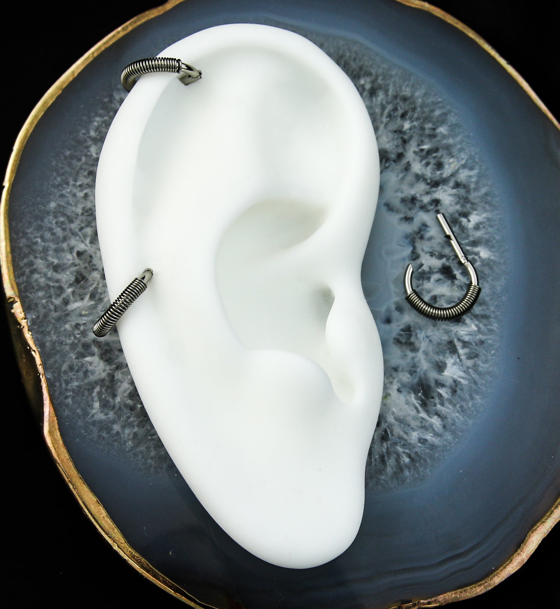 Spring Stainless Steel Straight Hinged Segment Ring