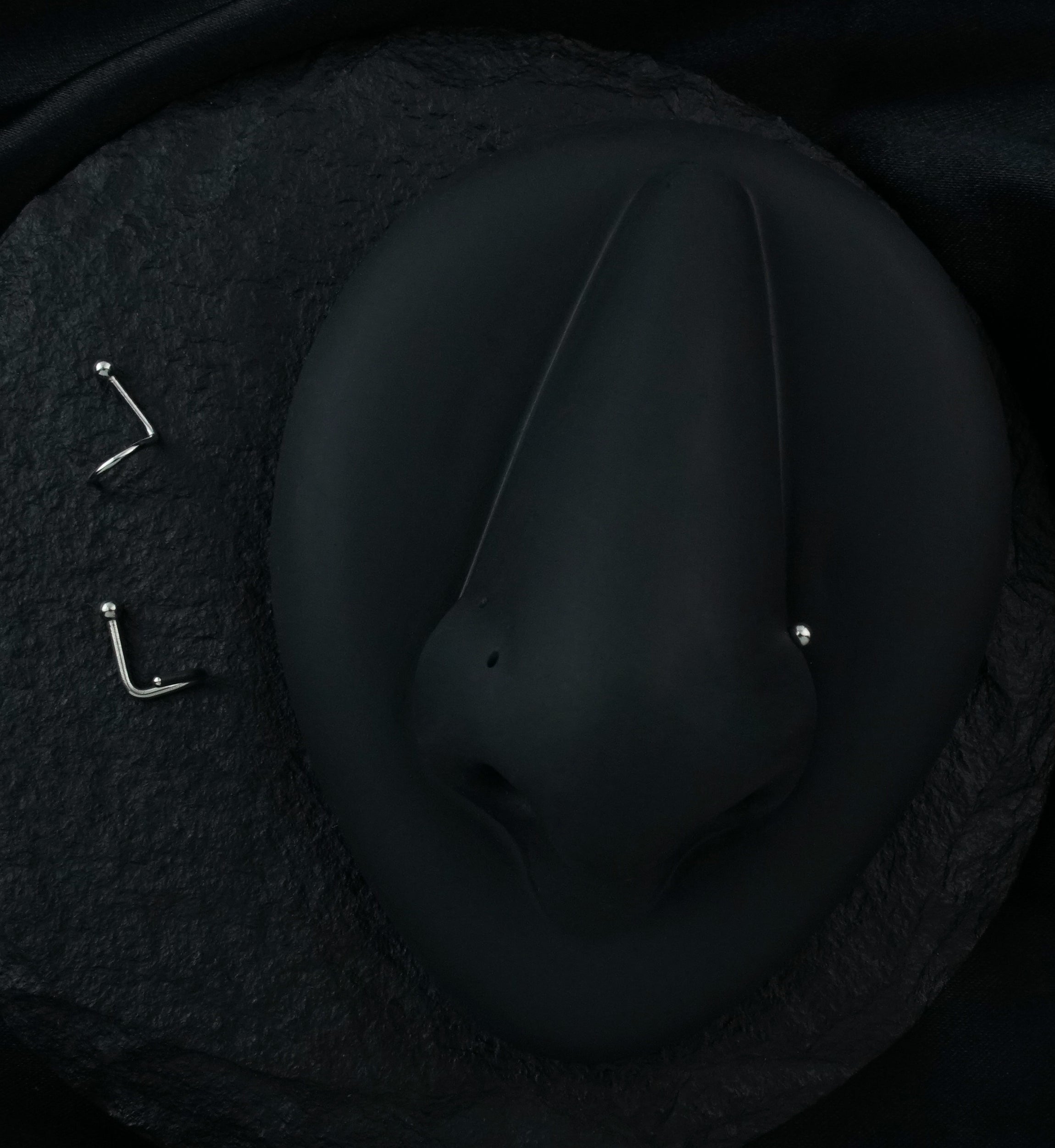 Stainless Steel Nose Screw