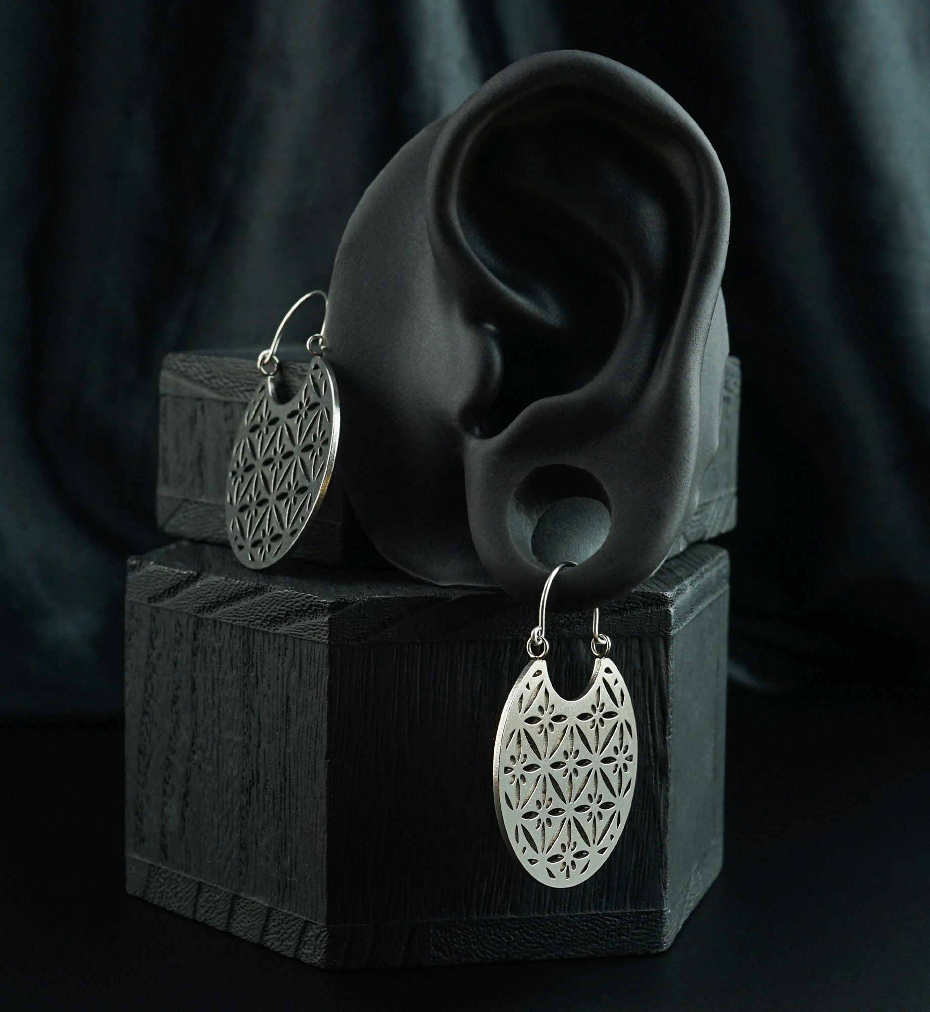 Star Shine Stainless Steel Plug Hoops