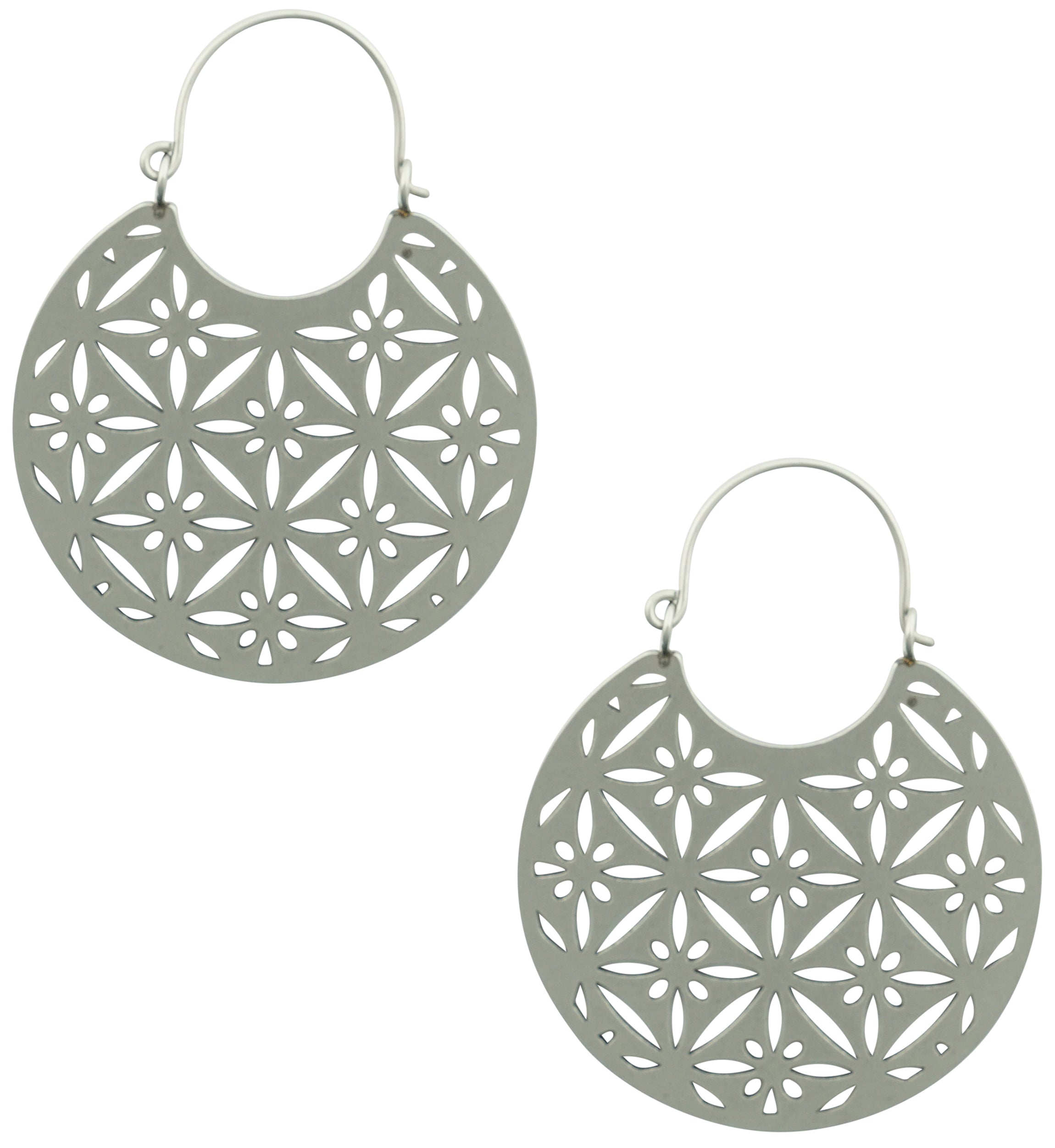 Star Shine Stainless Steel Plug Hoops