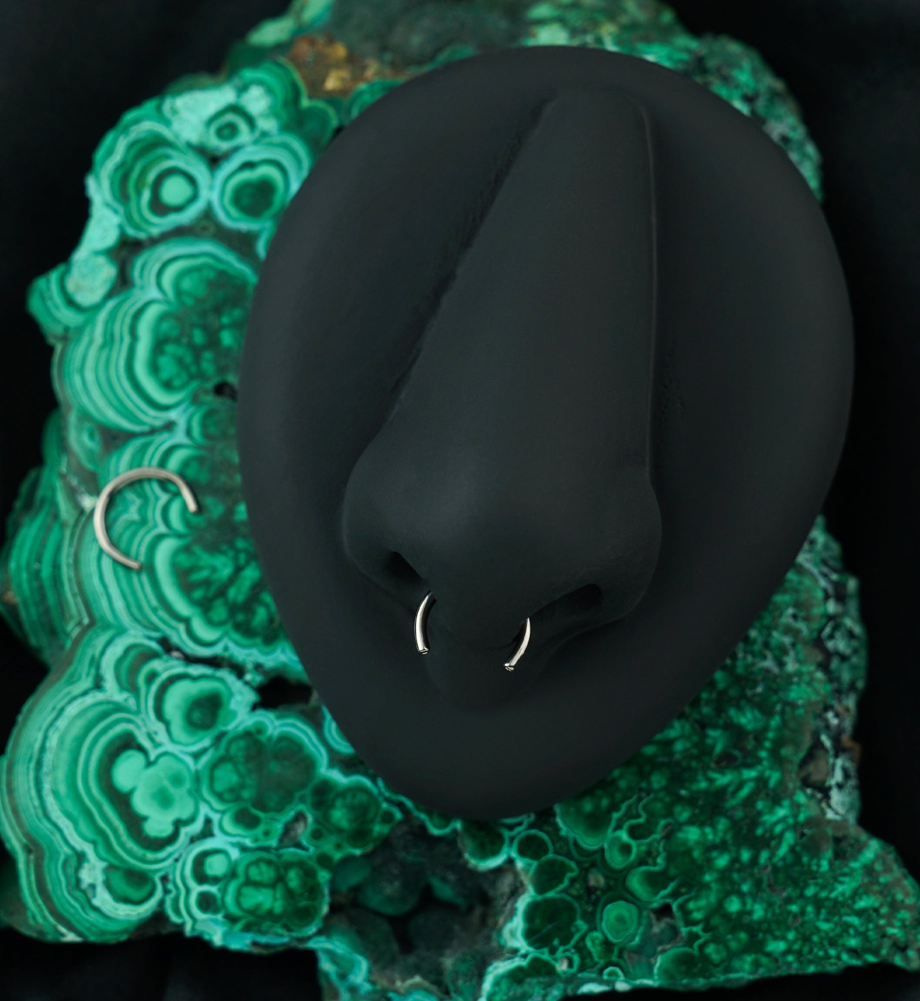 Threadless Titanium Circular Barbell (Bar Only)