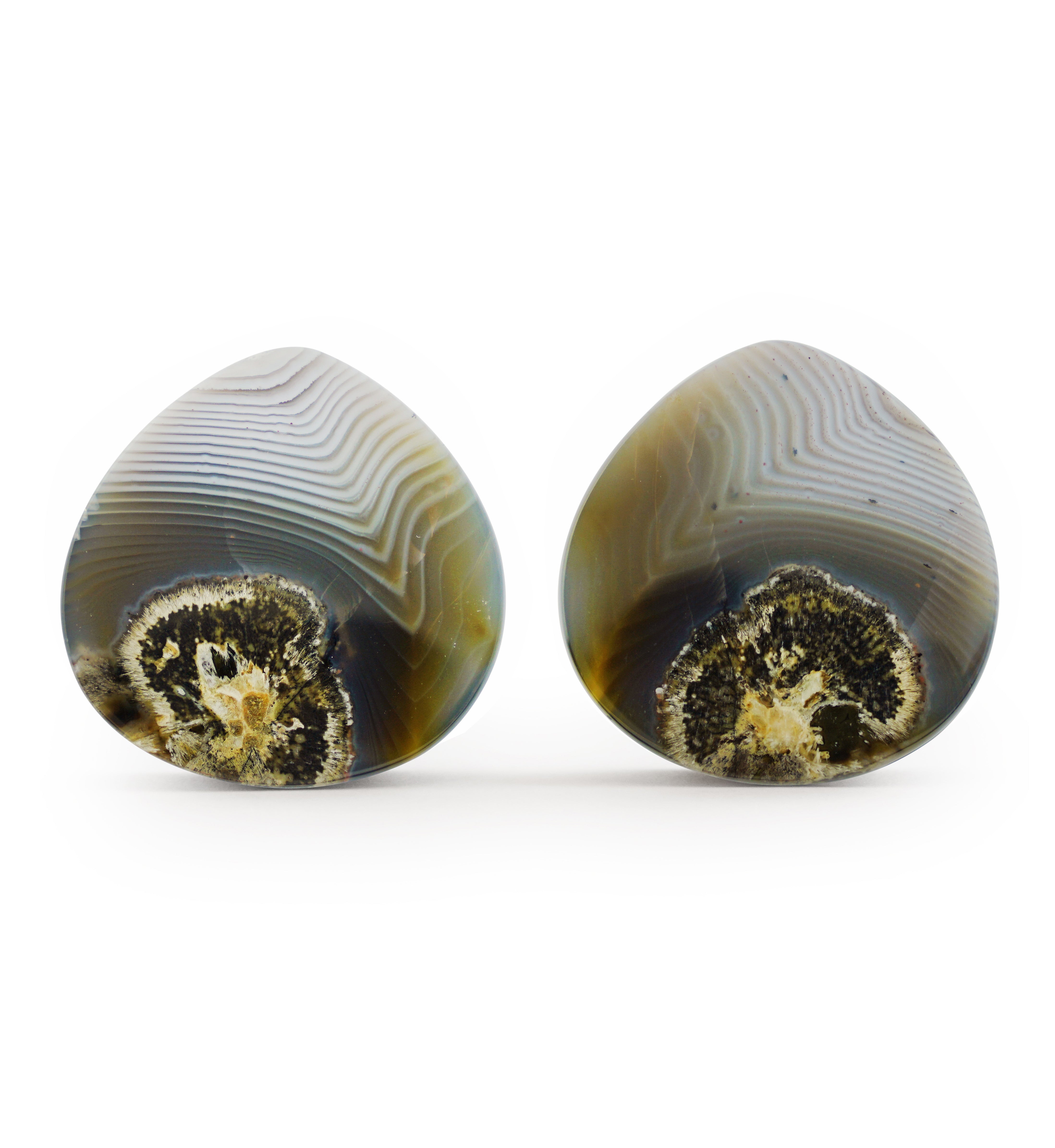 Timor Agate Teardrop Double Flare Plugs 1 & 1/2" (38mm) Version 1