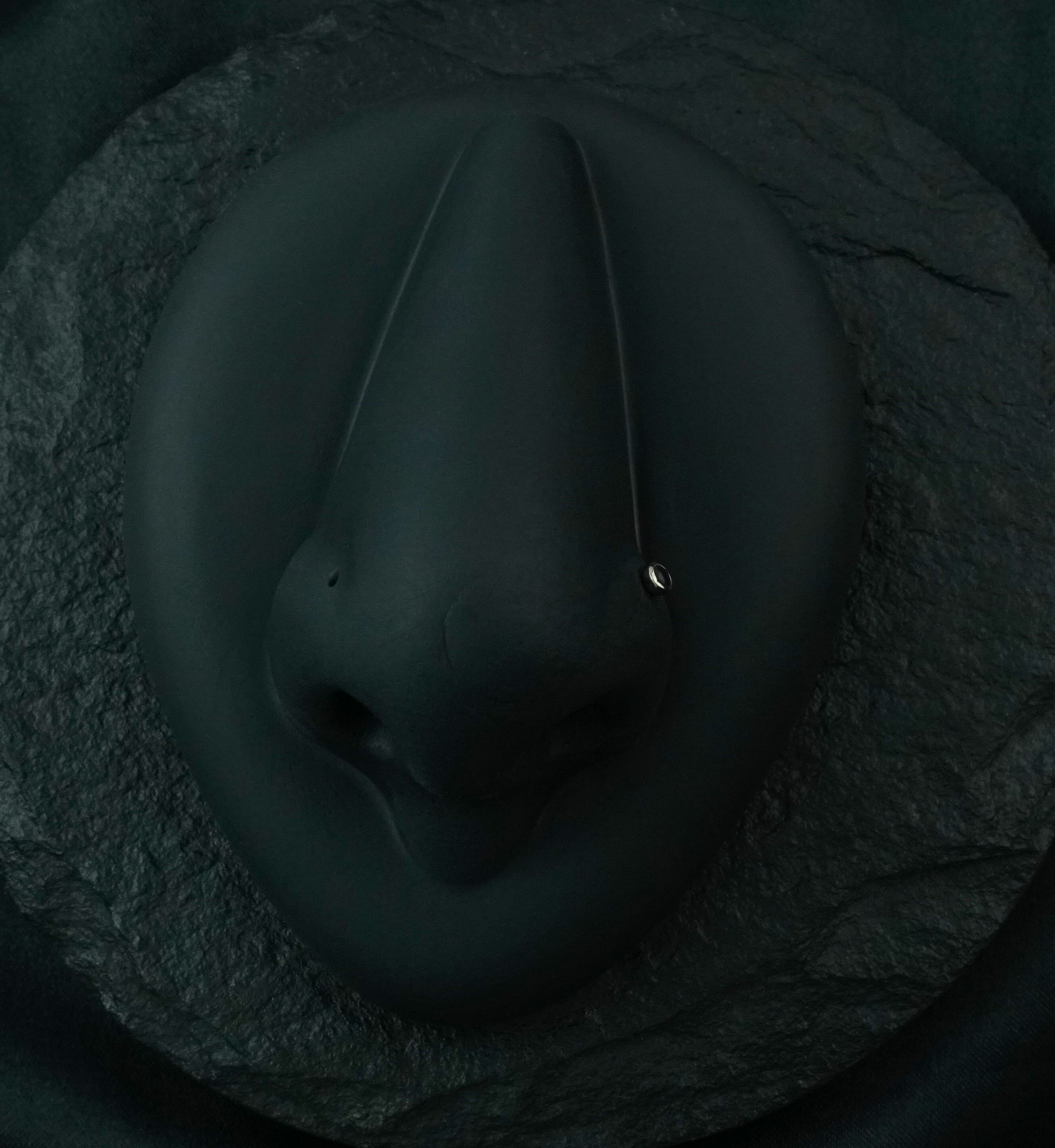 Titanium Nose Screw With Black Onyx Stone