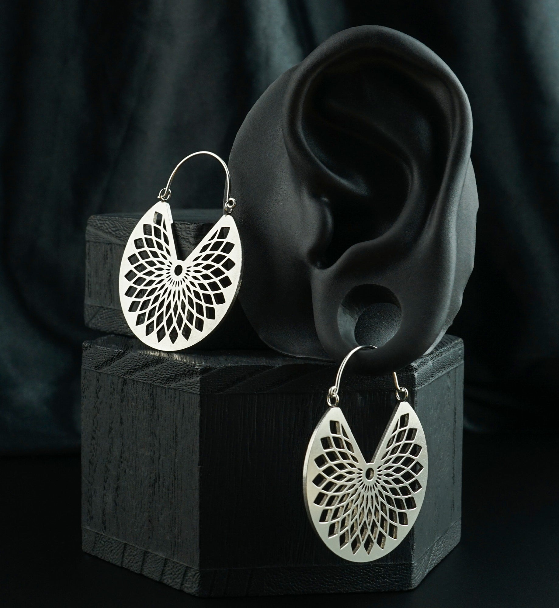 Torus Stainless Steel Plug Hoops