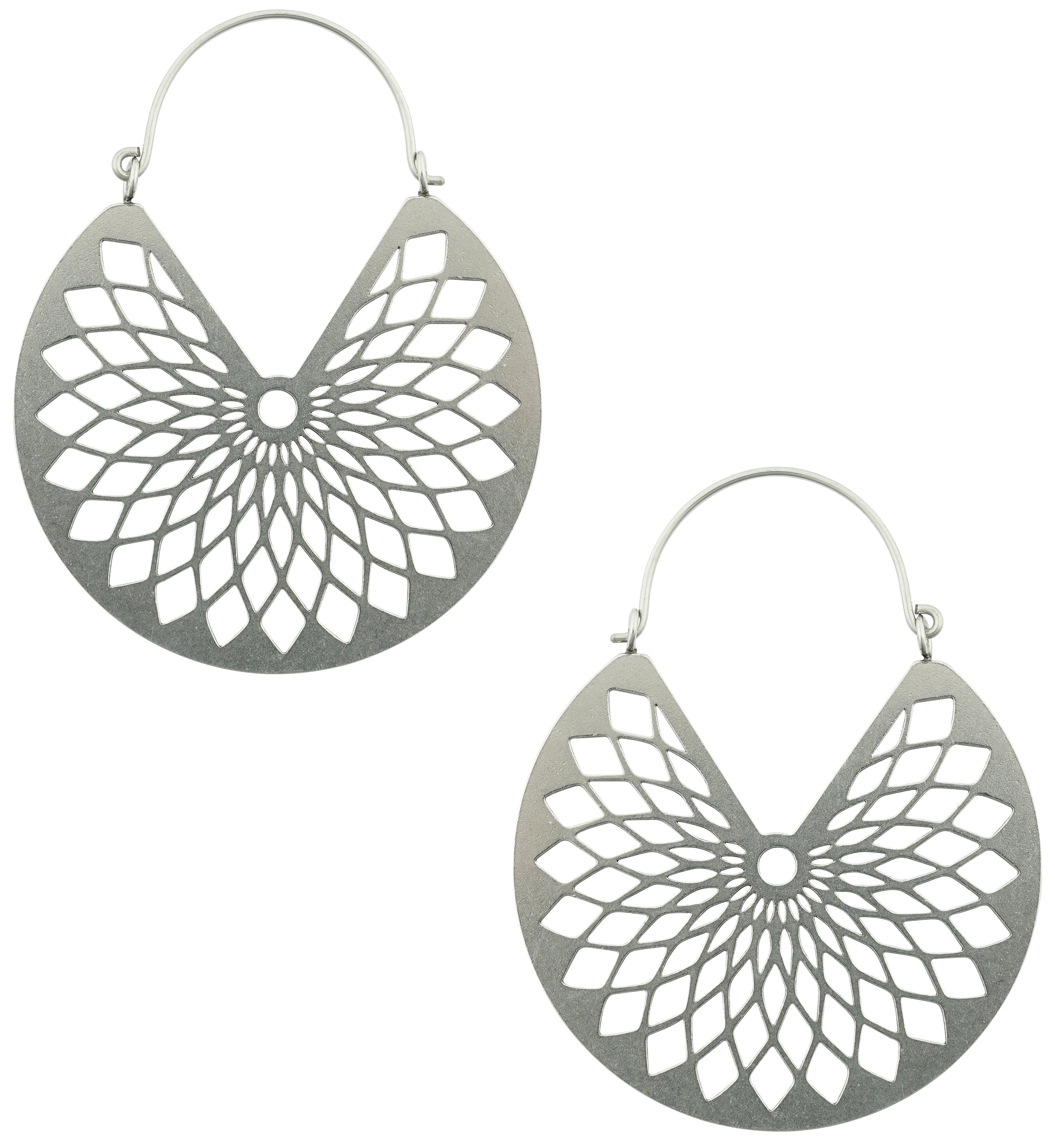 Torus Stainless Steel Plug Hoops