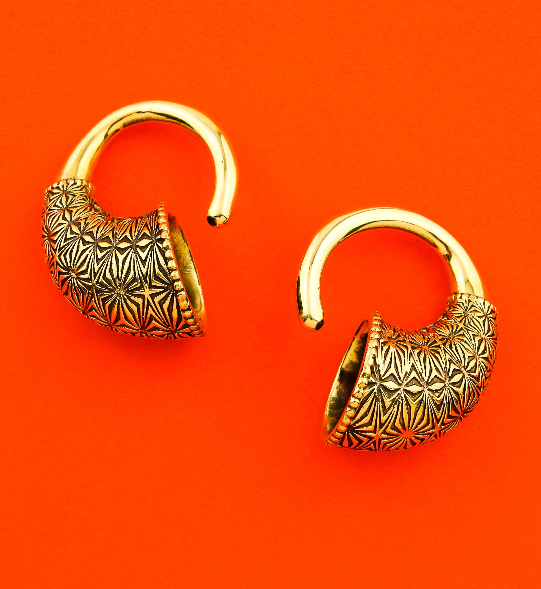 Viking Horn Brass Ear Weights