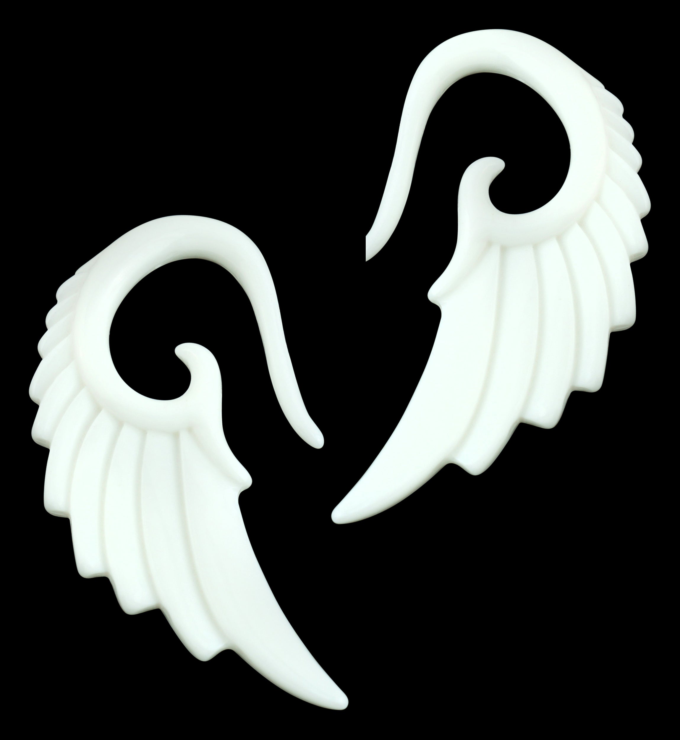 White Angel Wing Spirals