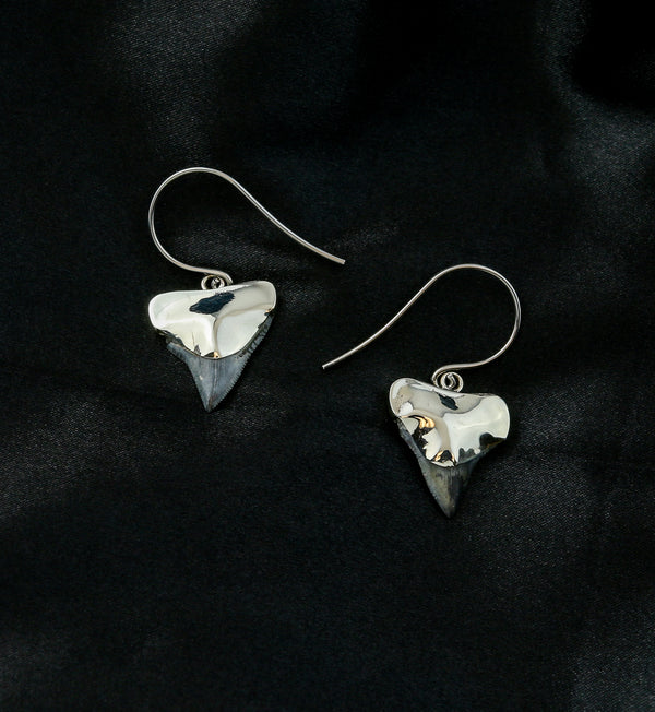 White Brass Fossilized Shark Tooth Dangle Earrings