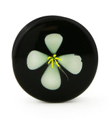 White Poppy Flower Black Glass Double Flare Plugs