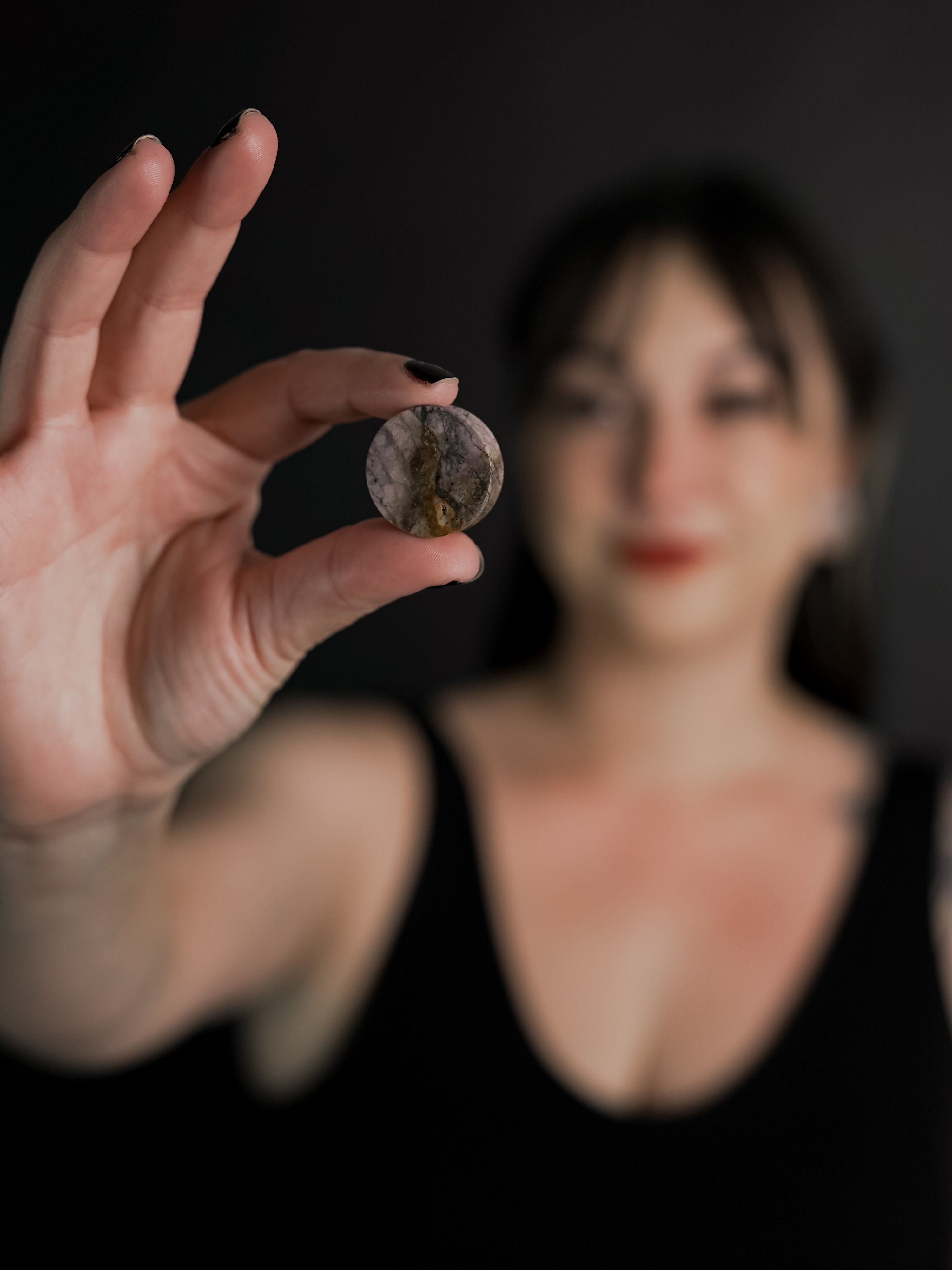 Willow Creek Jasper Stone Plugs