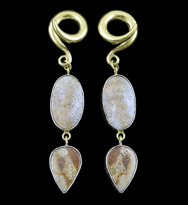 Double Fossilized Coral Ear Weights