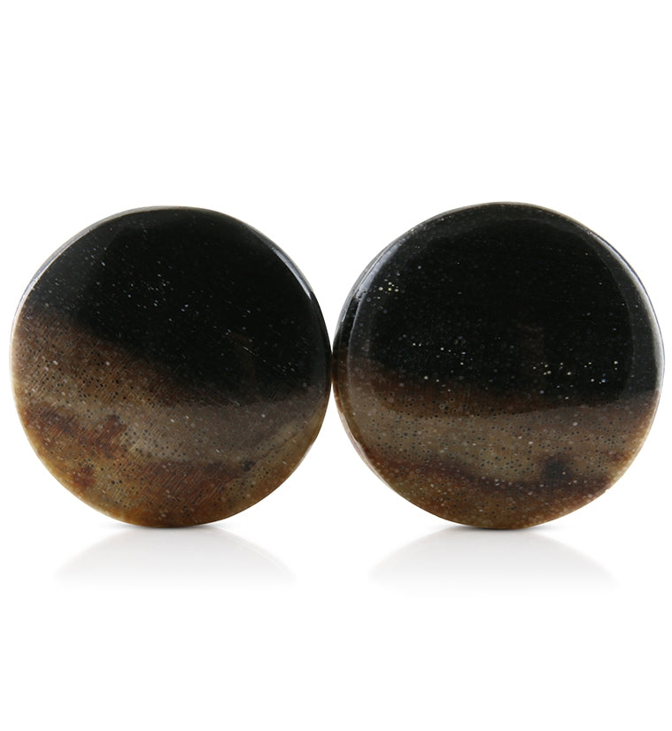 Petrified Wood Plugs 3/4" (19mm) Version 1