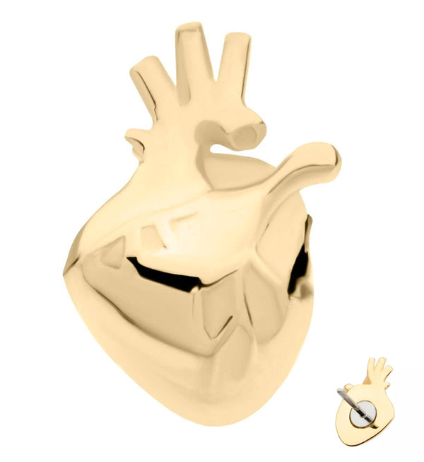 14kt Gold Anatomical Heart Threadless Top