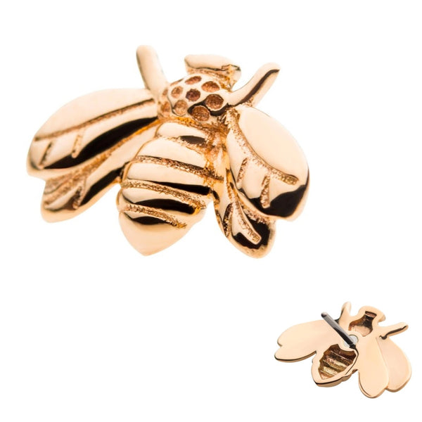 14kt Gold Bumblebee Threadless Top