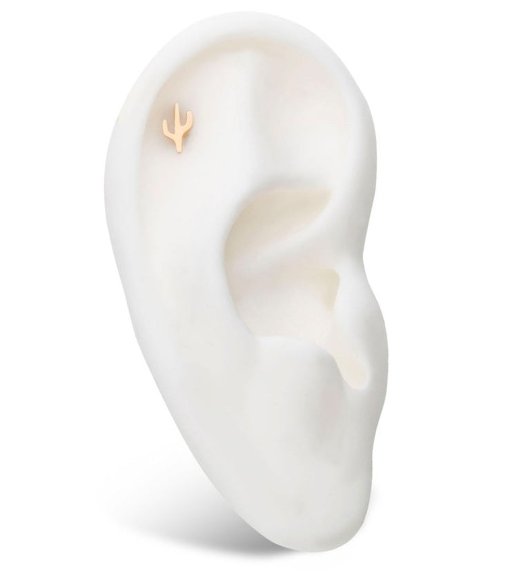 14kt Gold Cactus Threadless Top