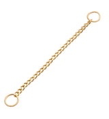 14kt Gold Curb Nose & Cartilage Piercing Chain
