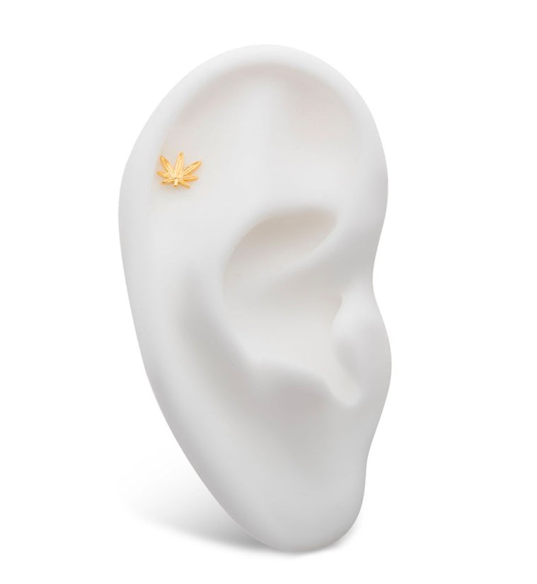 14kt Gold Hemp Leaf Threadless Top