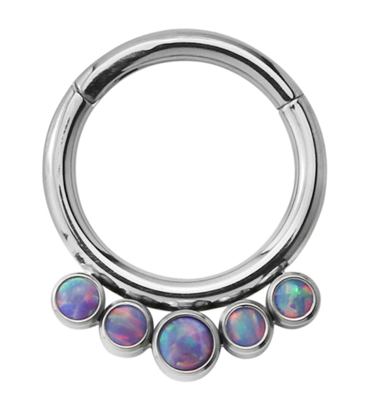 16G Cinque Purple Opalite Titanium Hinged Segment Ring