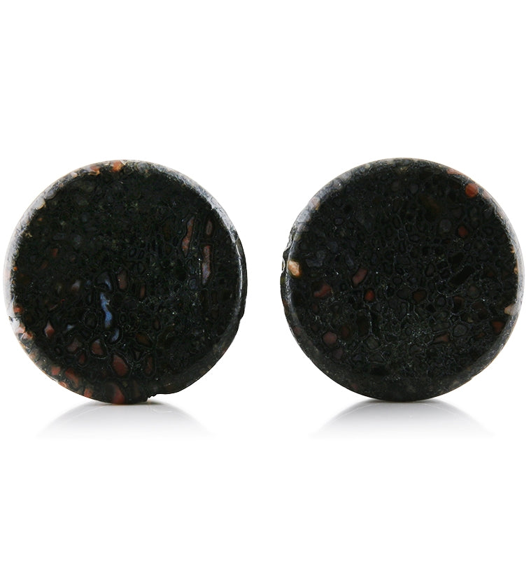 Fossilized Dinosaur Bone Plugs 1 Inch (25mm) (Imperfect) Version 4