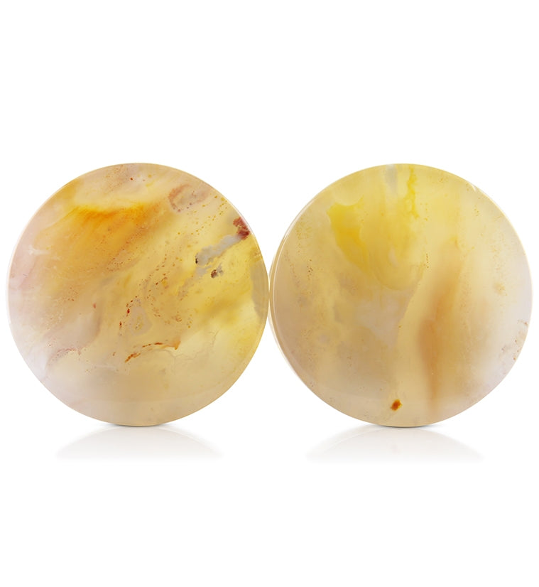 Graveyard Point Plume Agate Stone Plugs V1