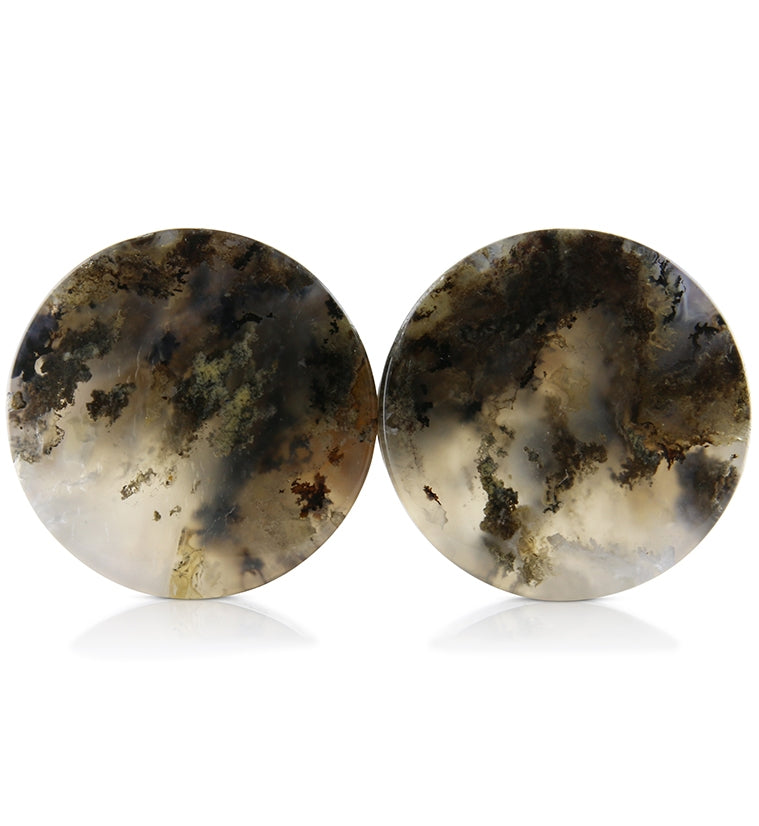 Graveyard Point Plume Agate Stone Plugs V3