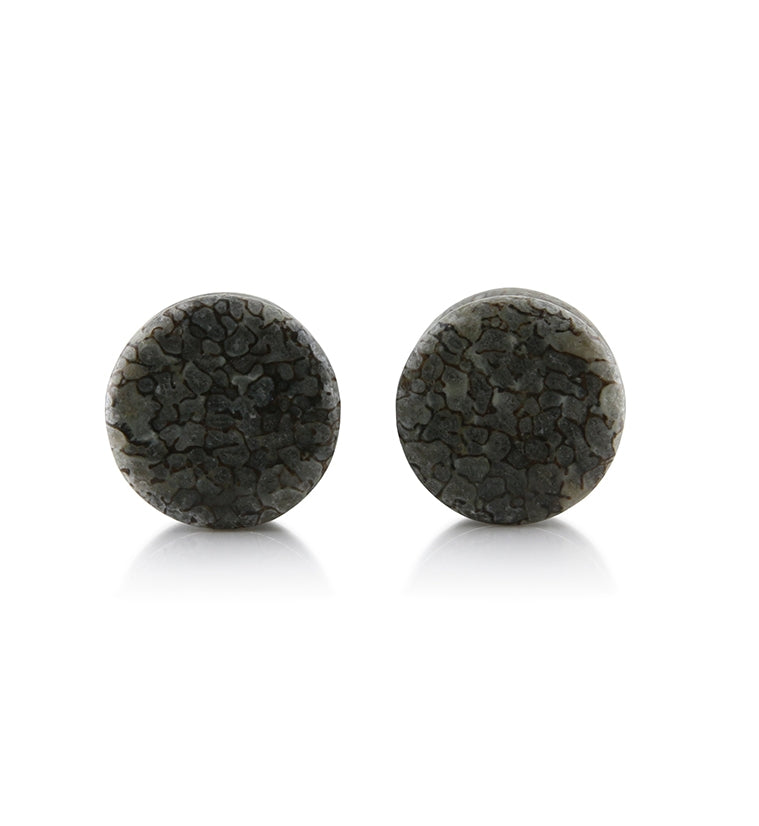 Fossilized Dinosaur Bone Plugs 1/2" (12mm) Version 1