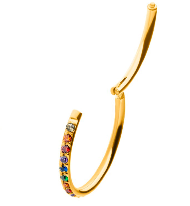 24kt Gold PVD Rainbow CZ Row Titanium Hinged Segment Ring