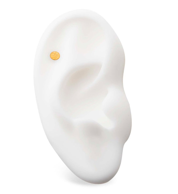 24kt Gold PVD Stamped Disk Threadless Titanium Top