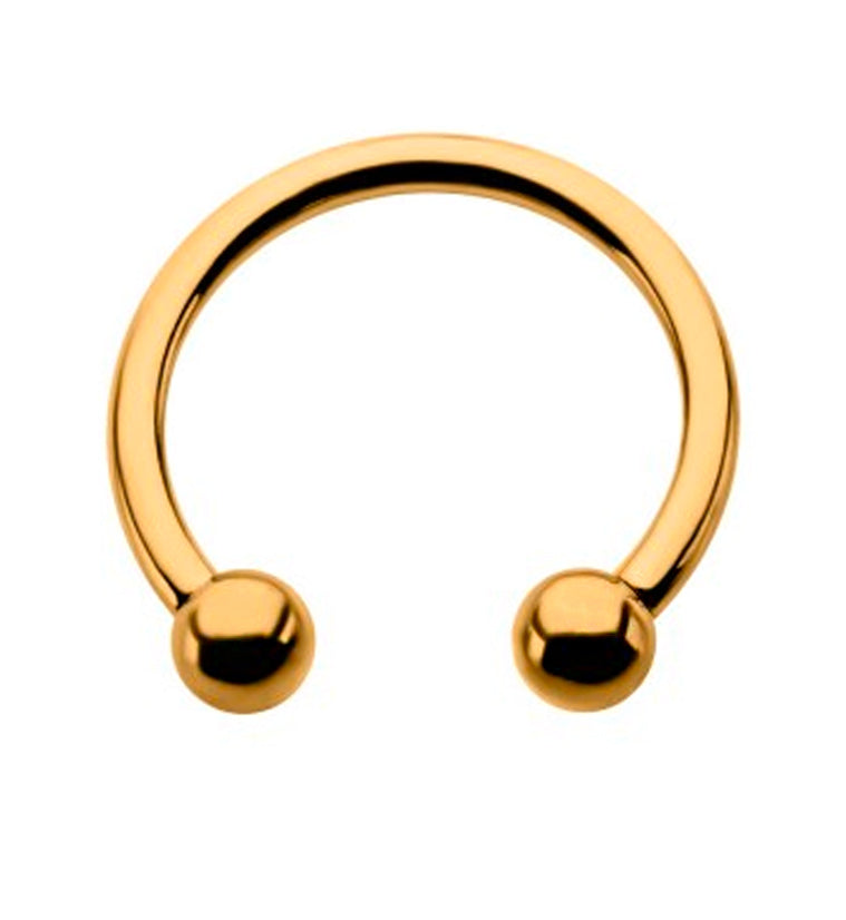 24kt Gold PVD Titanium Circular Barbell