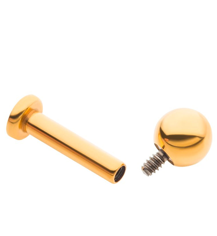 24kt Gold PVD Titanium Labret