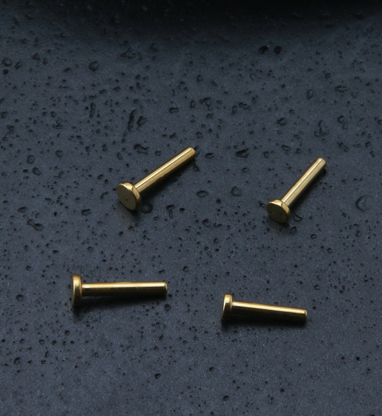 24kt Gold PVD 16G Titanium Labret (Back Only)