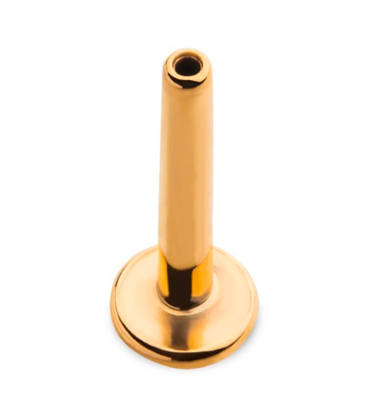 24kt Gold PVD 16G Titanium Threadless Labret (Back Only)