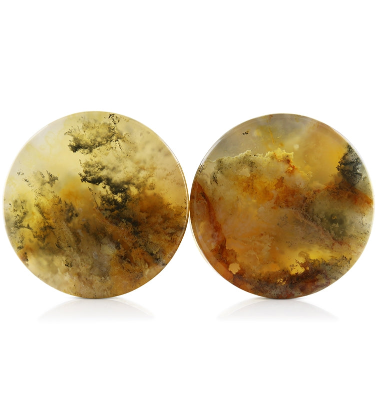 Graveyard Point Plume Agate Stone Plugs V4