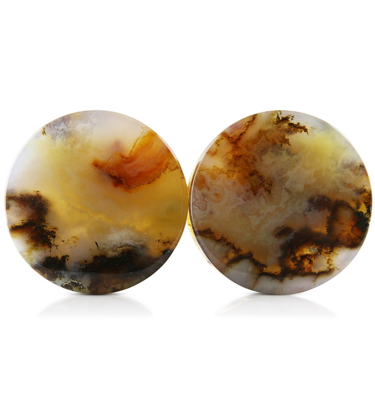 Graveyard Point Plume Agate Stone Plugs V6