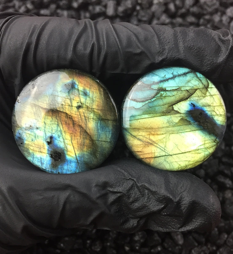 Labradorite Stone Plugs