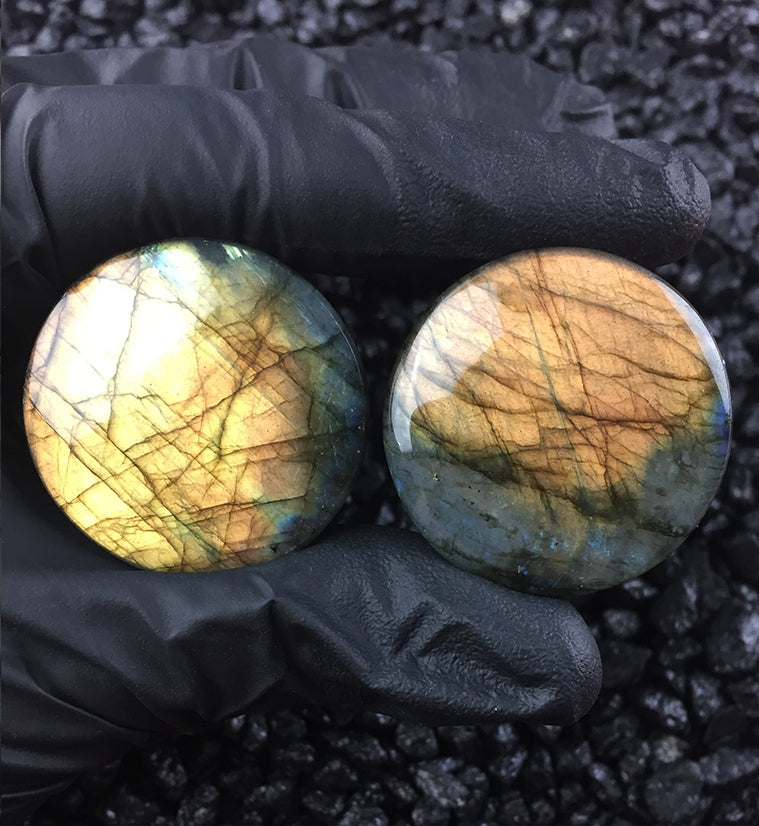 Labradorite Stone Plugs