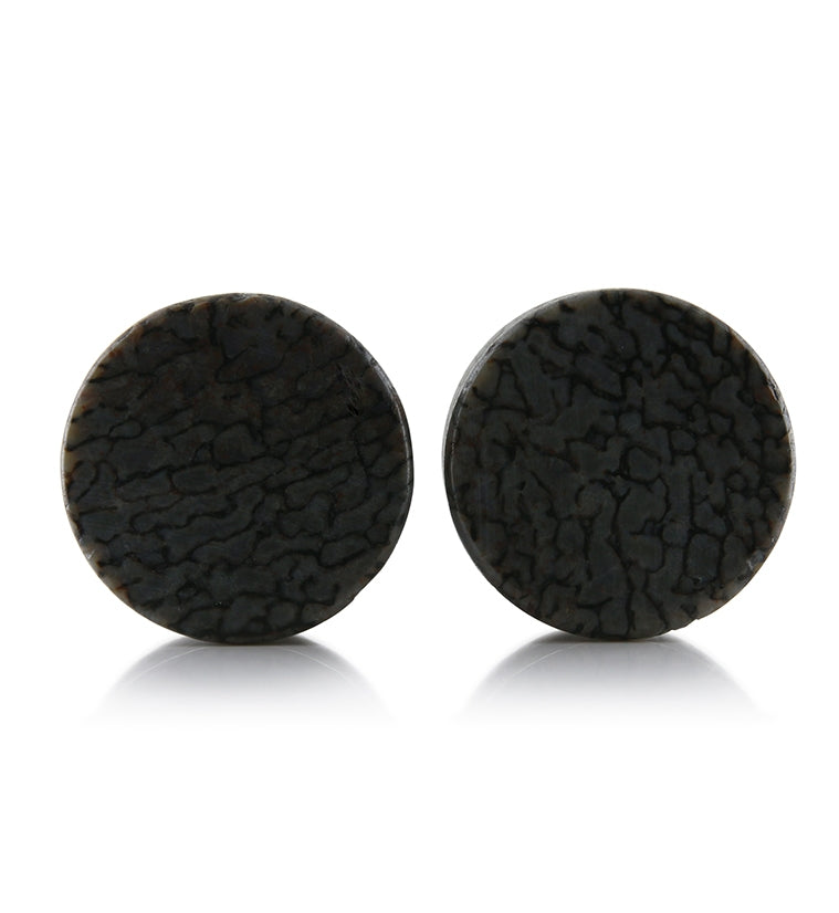 Fossilized Dinosaur Bone Plugs 3/4" (19mm) Version 1